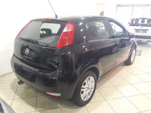 FIAT PUNTO (01/09/2016) - 