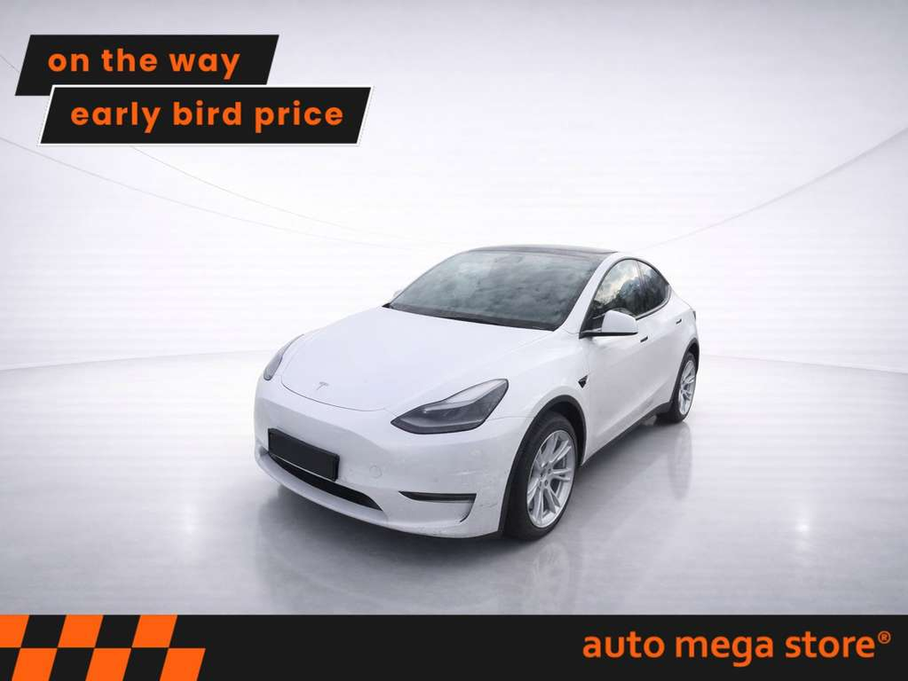 Left Hand Drive TESLA MODEL Y RWD Standard Range German Reg for sale